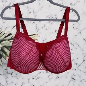 Adore Me Red and Pink Mesh Bra